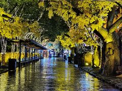 -横店影视城梦幻谷园区