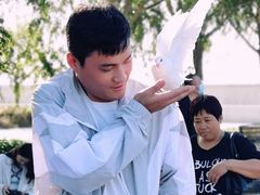 -天津妈祖文化园