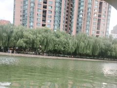 -团结湖公园