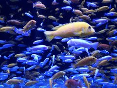 -成都浩海立方海洋公园