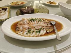 -骏莱海鲜鱼港(五角场店)
