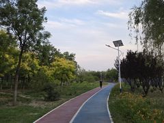 -绿堤公园