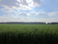 -嘉北郊野公园