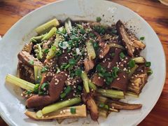 麻辣肥肠-正兴张血旺