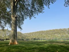 -河南省黄河迎宾馆