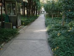 -徐家汇源景区-衡山公园