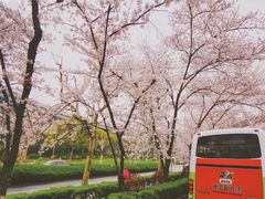 -上海南浦大桥长途旅游客运站