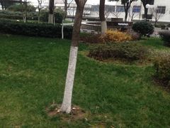 -江苏省人民医院(广州路院区)