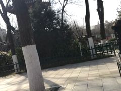 -莲湖公园