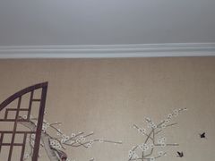 -戏精管理局·剧本杀·桌游·血染钟楼