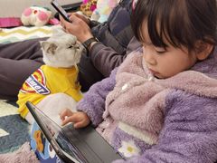 -PETKIT 小佩宠物·低压洗护·美容·寄养(安远店)