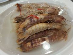 盐水濑尿虾-东江海鲜酒家(艺都分店)