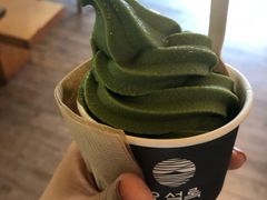 -雪绿茶博物馆
