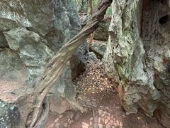 -杭州西湖风景名胜区-三生石