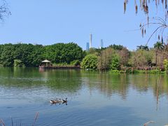 -海珠湖公园