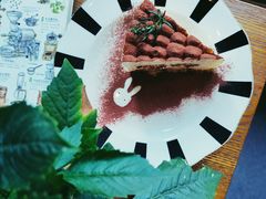 提拉米兔-莫宁Morning