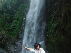-莫里热带雨林景区