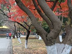 -苏州大学(天赐庄校区)