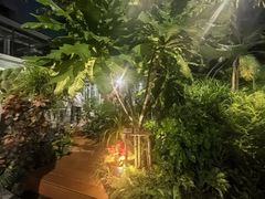 -Kinnaree by Vanessa WU