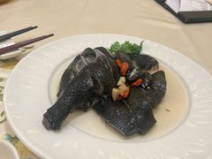 药膳鸡-沙龙酒家