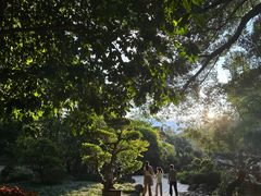 -西湖公园(鼓楼区)