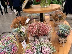 景点-荷兰花海
