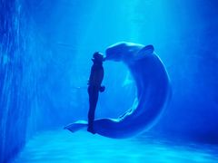 -多彩贵州城极地海洋世界