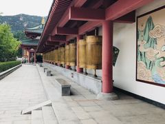 -龙口南山旅游景区