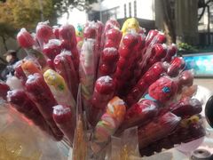 -杭州半山国家森林公园