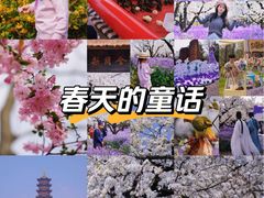 -江苏三台山国家森林公园