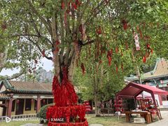 -星湖旅游景区七星岩