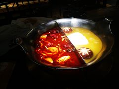 红颜花胶鸡锅-湊湊火锅·茶憩(东城万达店)