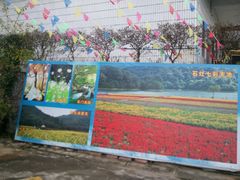 -广州市石门国家森林公园