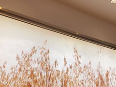 -西贝(枫蓝国际购物中心店)