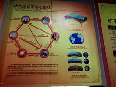 -遂昌金矿国家矿山公园