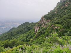 -阳台山自然风景区