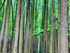 -青山湖景区