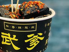 -武爹臭豆腐(坡子街店)