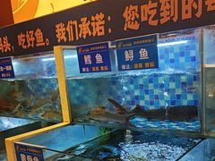 -饭橘汉江码头·乡野土菜馆(静安路店)