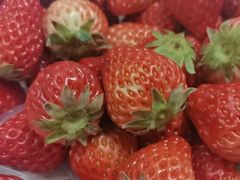 -海底捞火锅(千峰路店)