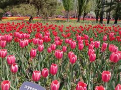 -国家植物园南园