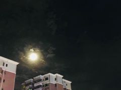 -九里香奶茶果汁(碧湖店)