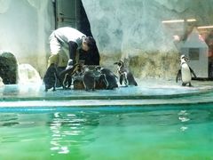 -北戴河圣蓝海洋公园