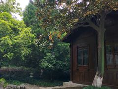 -白马涧龙池景区