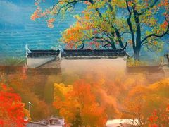 -塔川景区