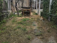 -临沂动植物园