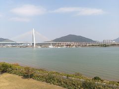 -芒洲湿地公园