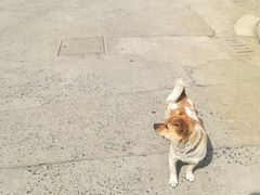 -芜湖方特东方神画