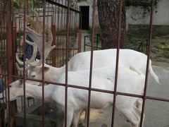-白鹿洞书院