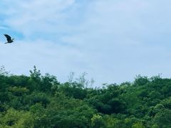 -佛手湖郊野公园